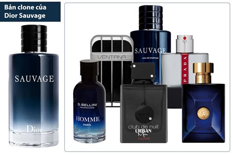 dior sauvage best clone|best version of dior sauvage.